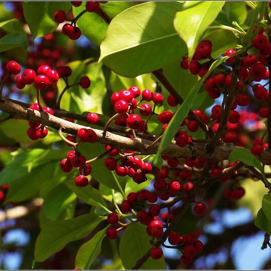 鱼跃龙门休闲度假村