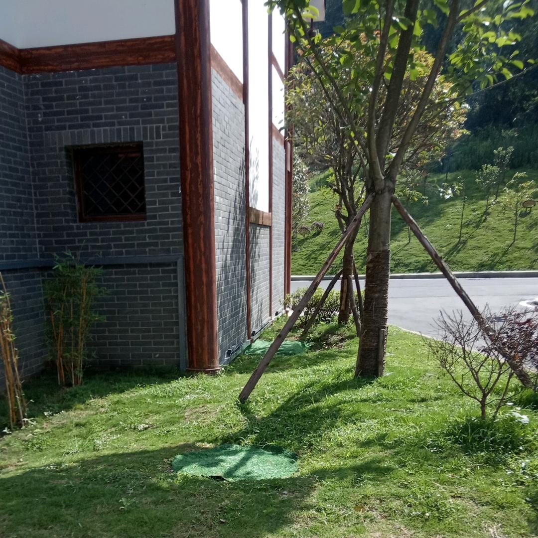 陈代芝