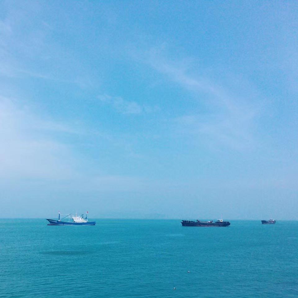 家里有一个泡泡🫧鱼