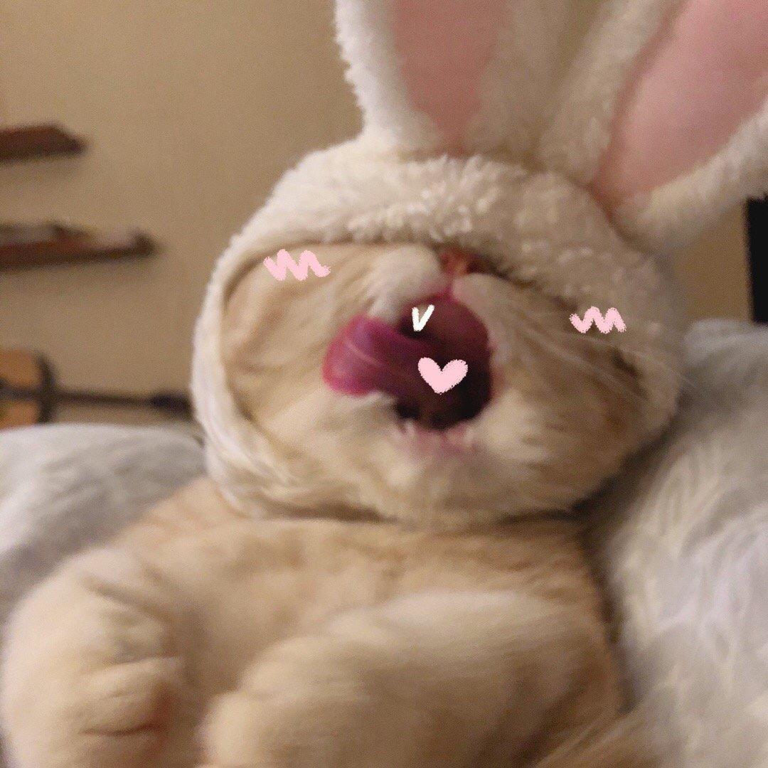 突突吖