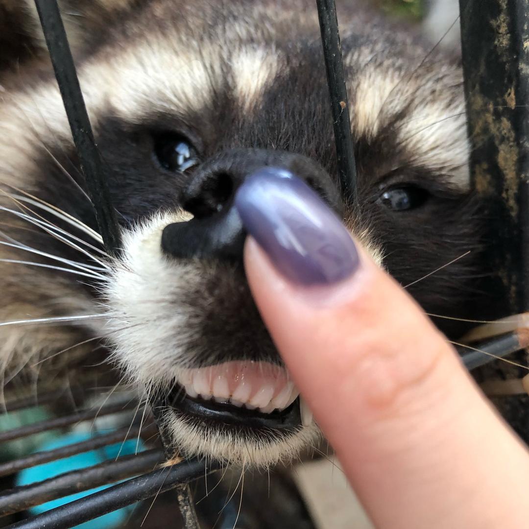 哈宝丶💋