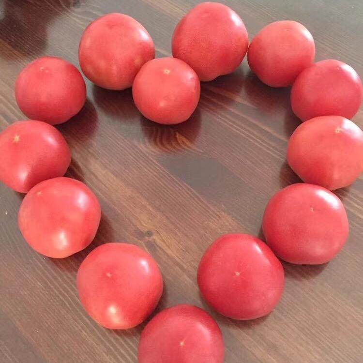 🌸荭♔♔♔