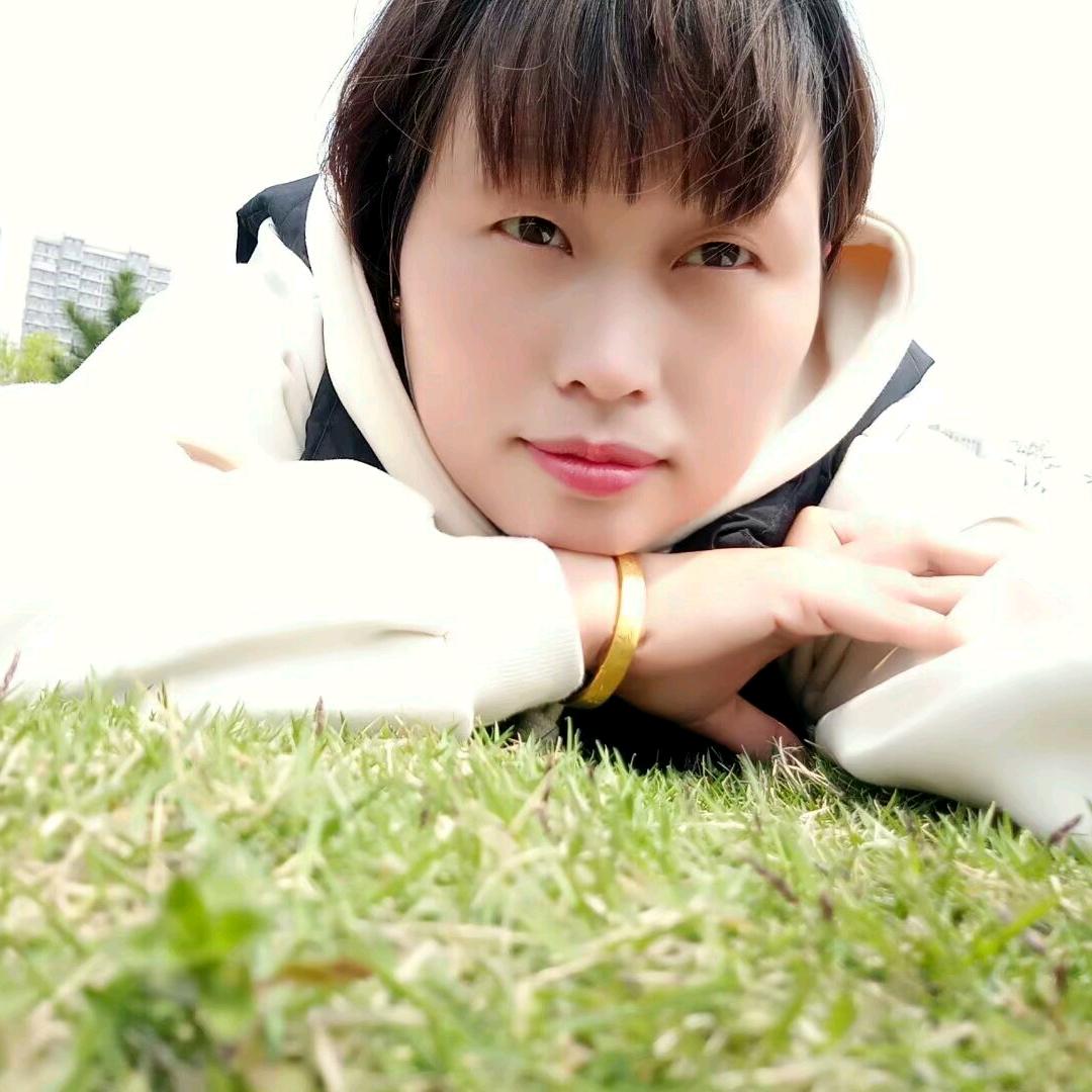 秋阳沐林