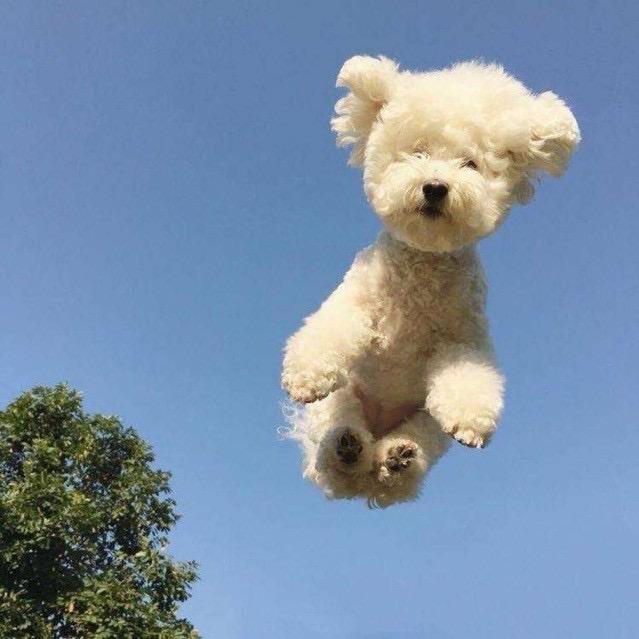 是小雪雪吖☃️