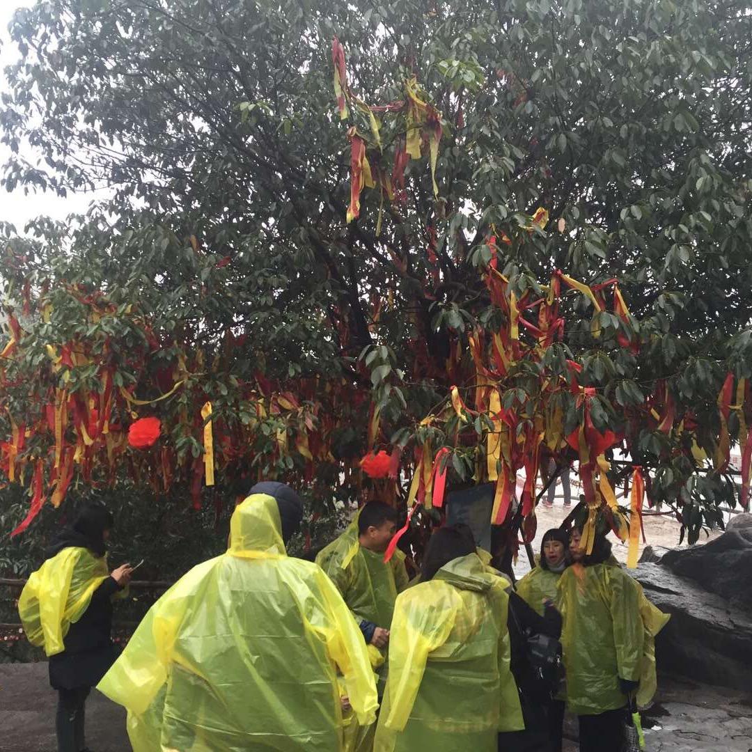 添添快乐