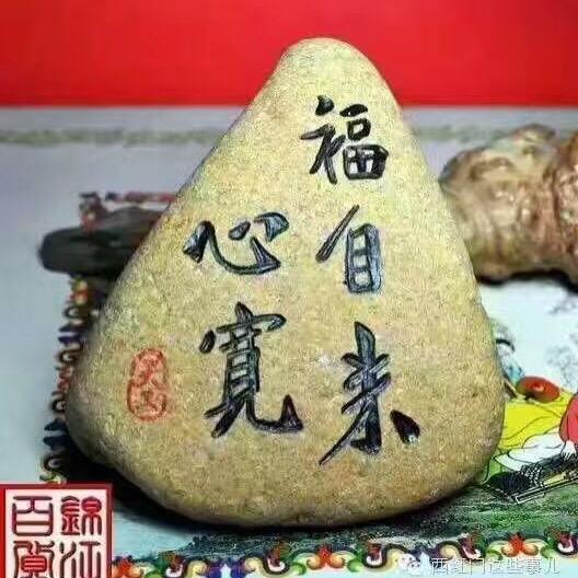 毛毛虫