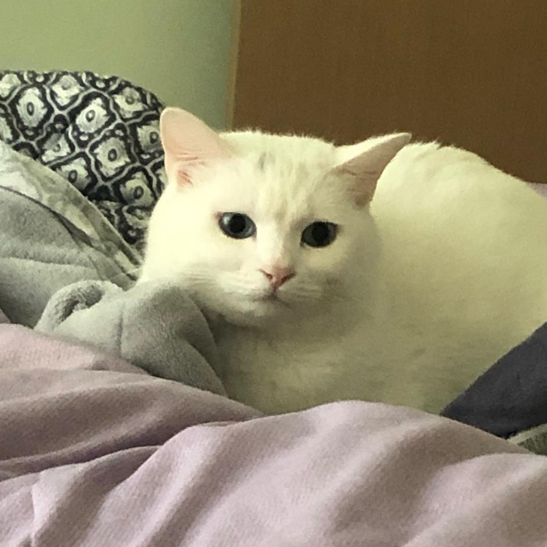 samo