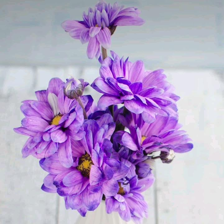 好好休息