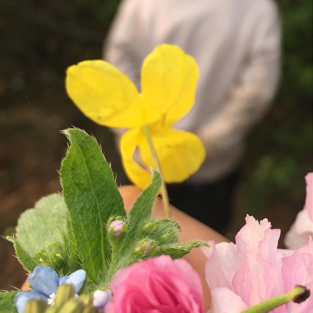 岁月静好💗💗💗