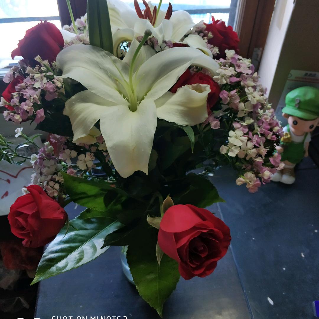 偶尔进来看看💅