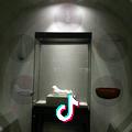 曲阳葛旺定瓷