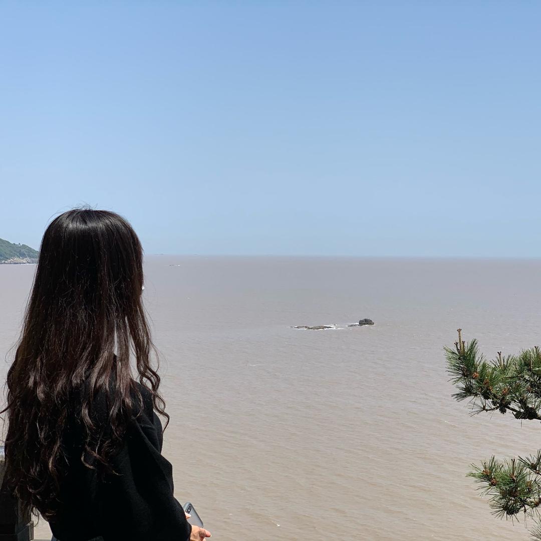 小玫瑰没有花
