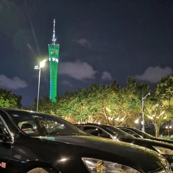 随心所欲盆景