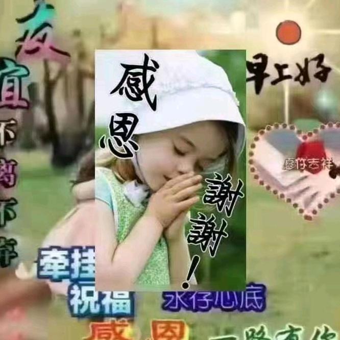 向阳🇨🇳
