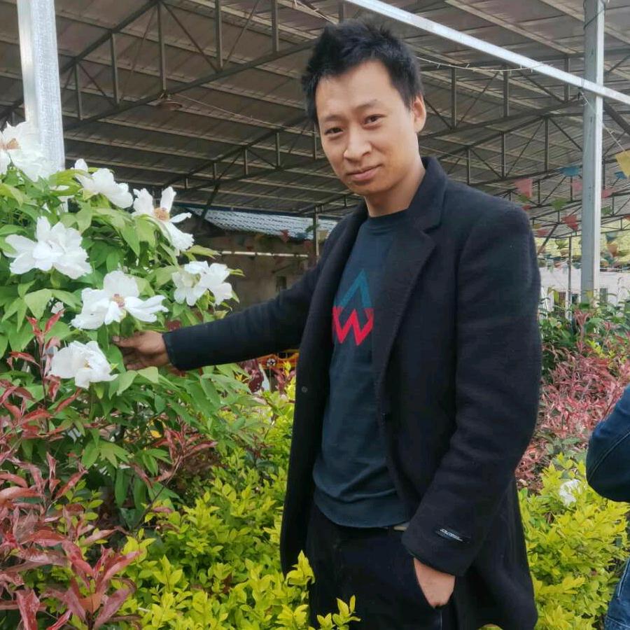 奉节专修柴油机，