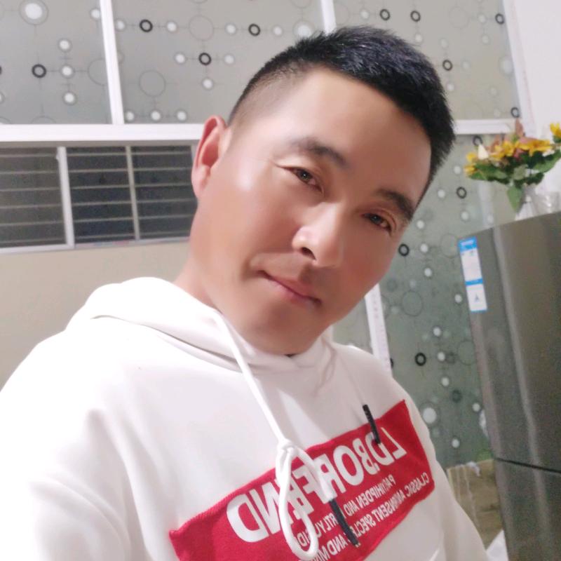 新蔡老马