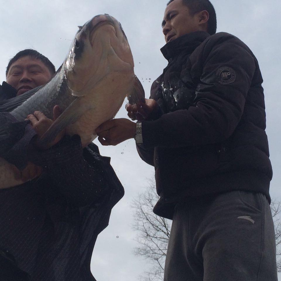 如皋富宝盆巨青养殖中心官方号