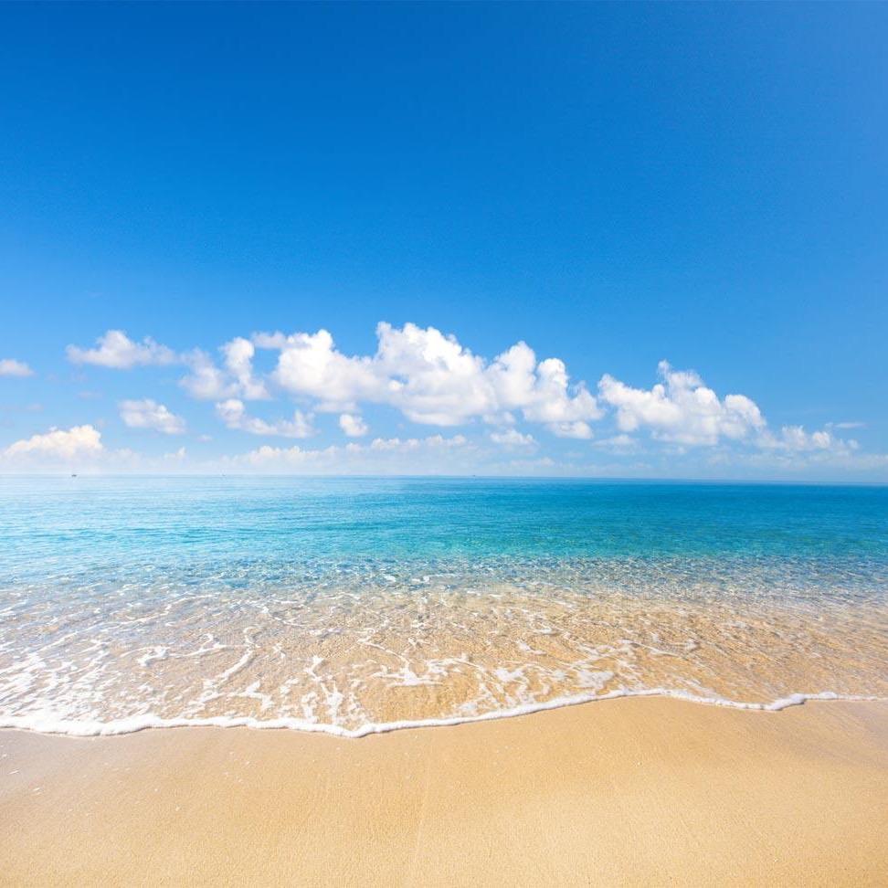 海边小海赶海海鲜