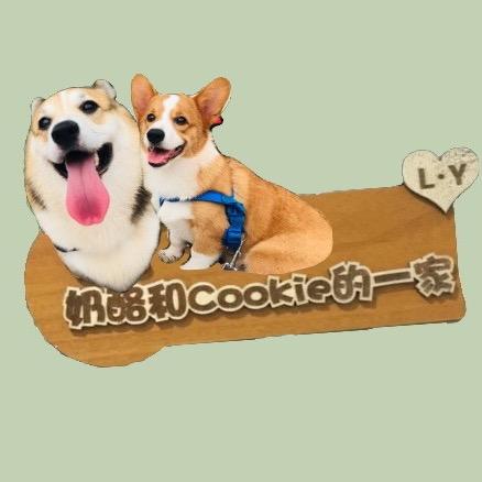 柯基奶酪和Cookie的一家