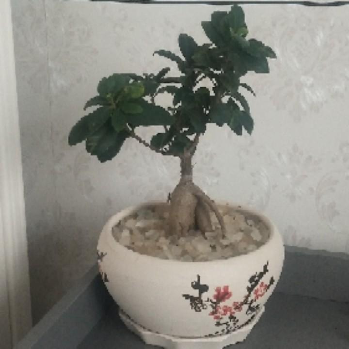 幸福的自己