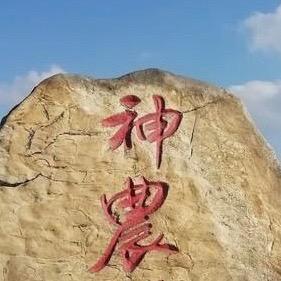 神农农资