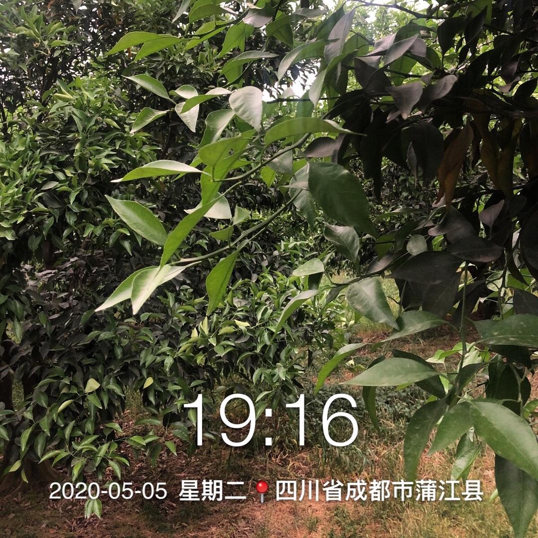 一一💤💤