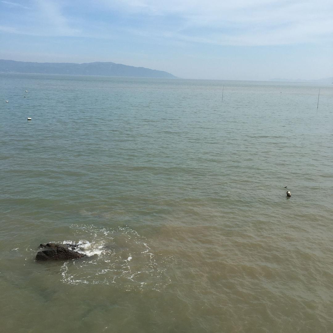 浙飘