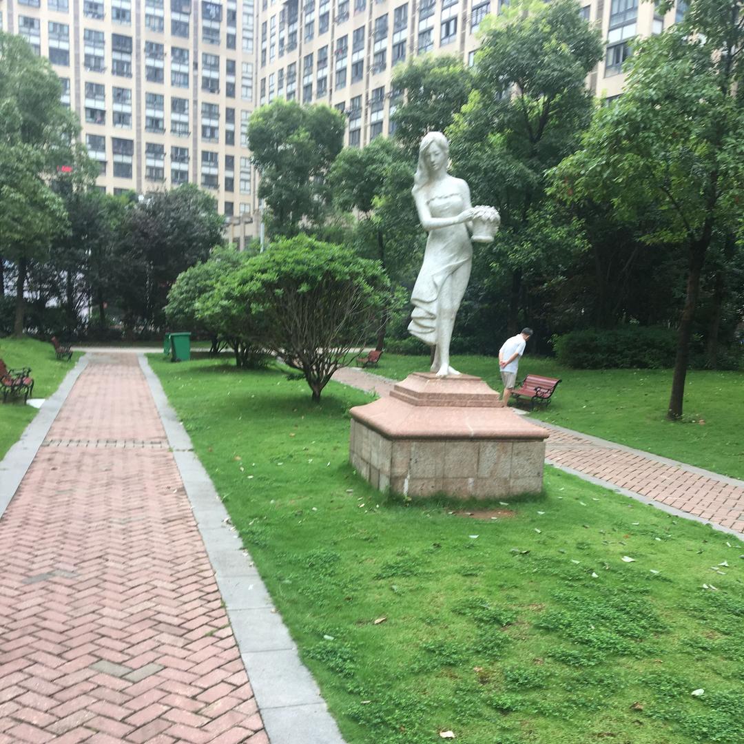 纯网吧小白