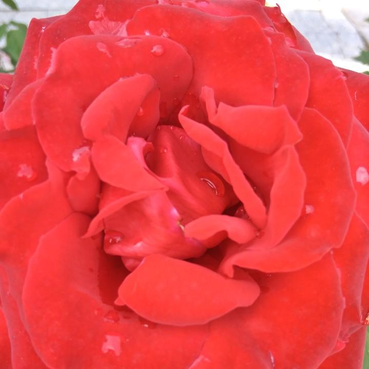 用户6147644895353