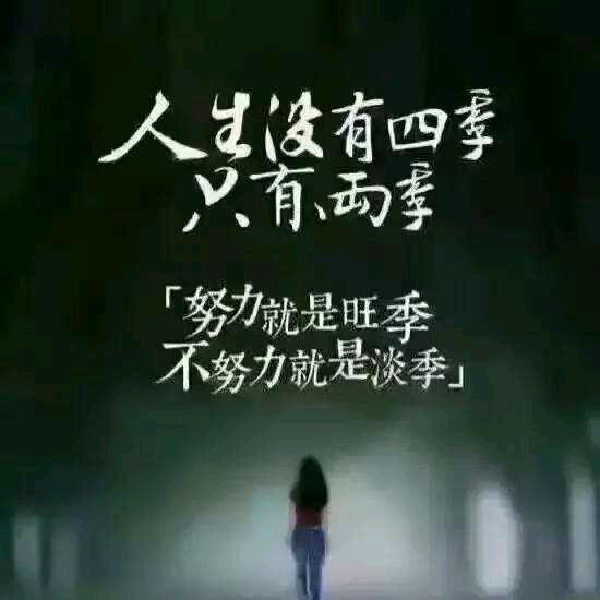 曹妈的日常