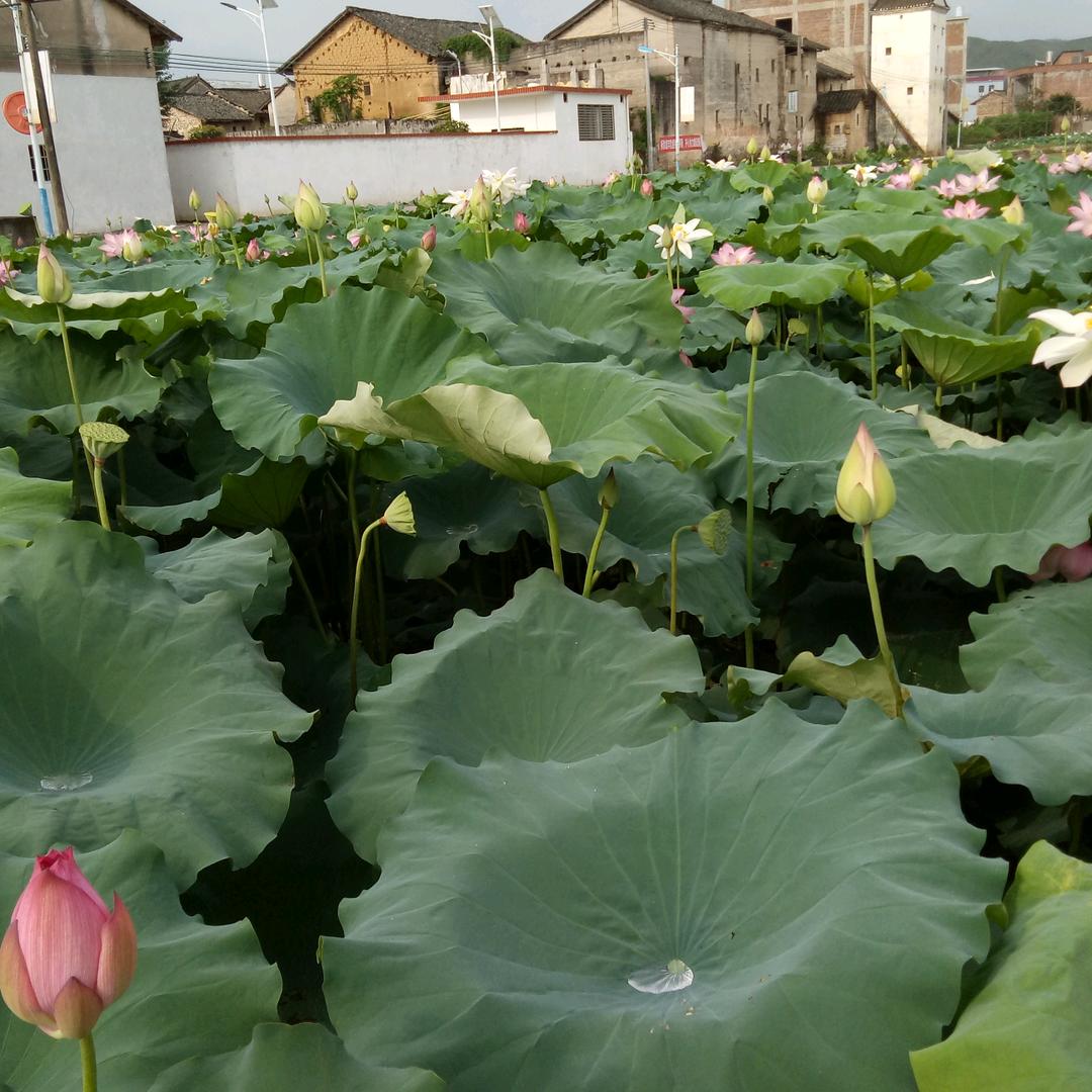 平凡人生
