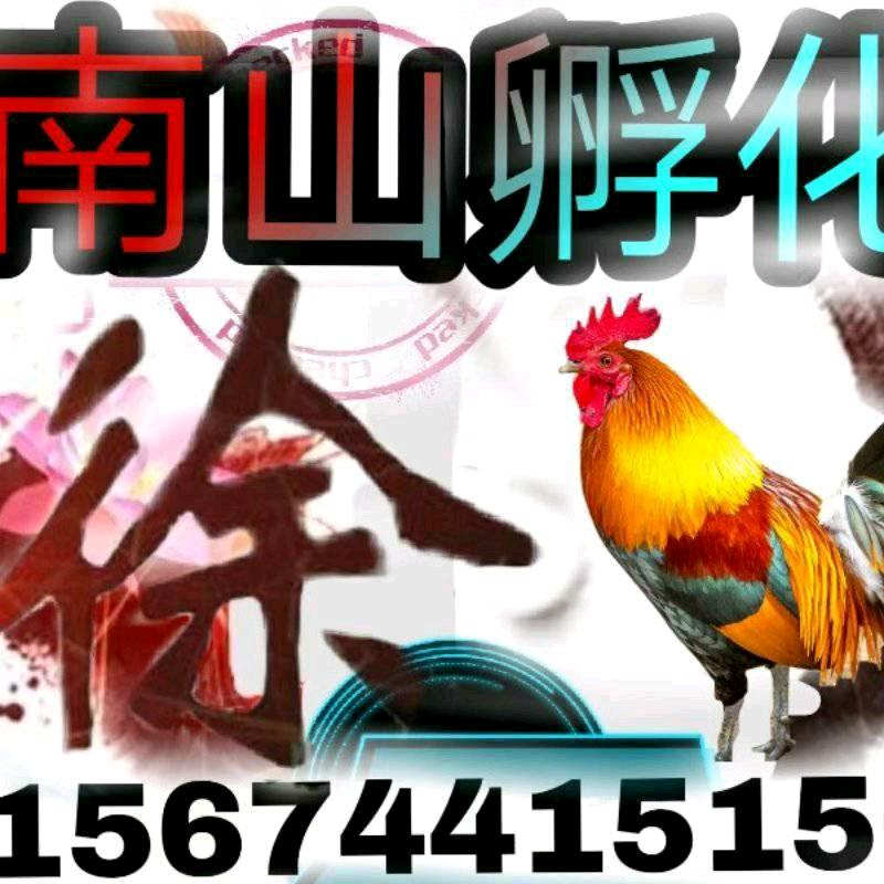 南山孵化（慈利）