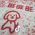 --👈 👻豪👻💥