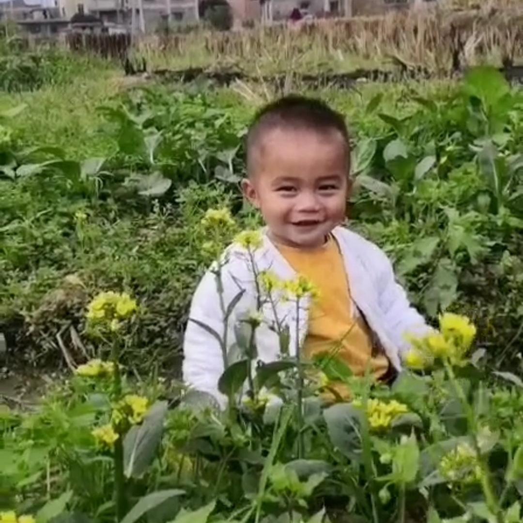 维他奶