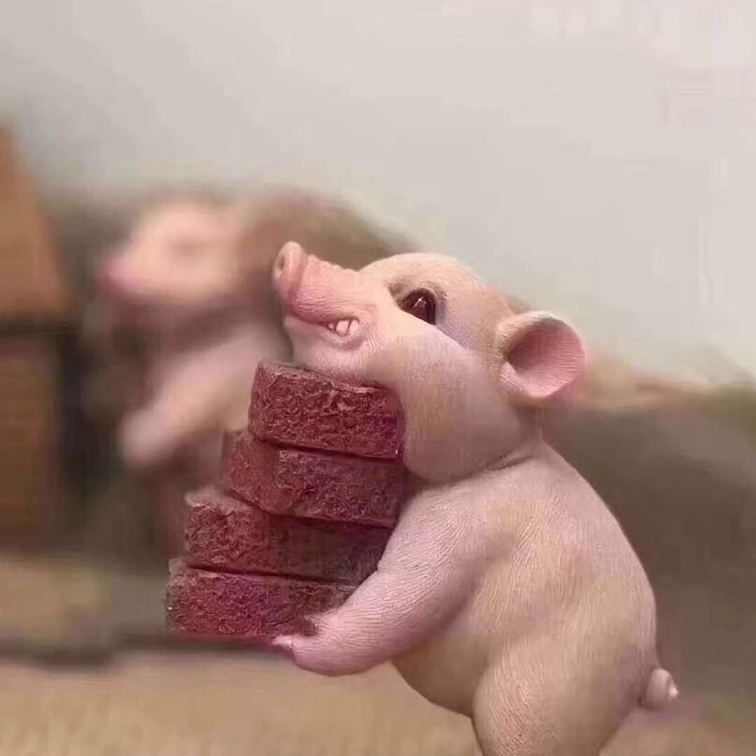 爱笑的眼睛