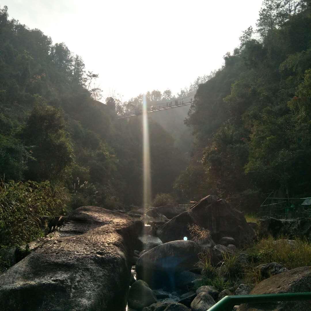 陈陈
