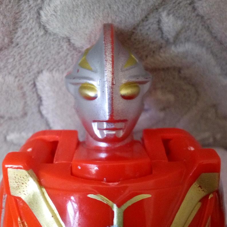 粉条