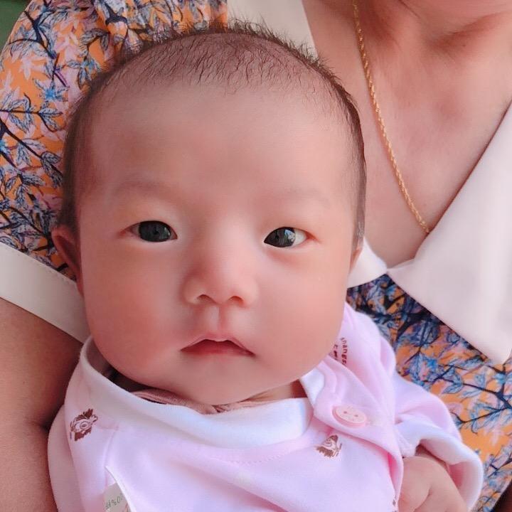 朱家琪