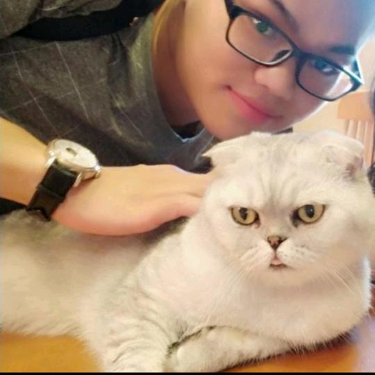 贵阳纸箱厂定制定做-许安