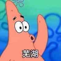 王兰花秀丽