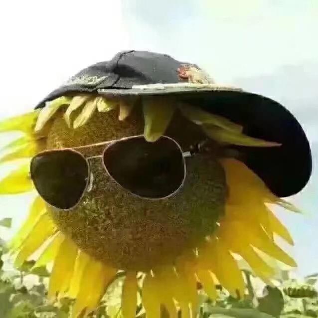 -江湖故人-