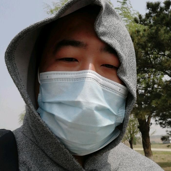 大龙