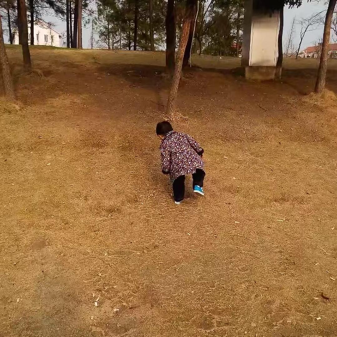 来人呀！赐茶
