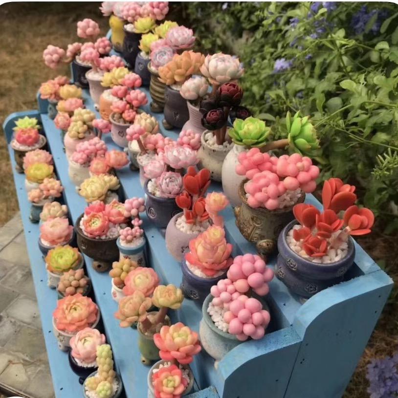 花……很美