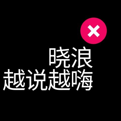 晓浪越说越嗨
