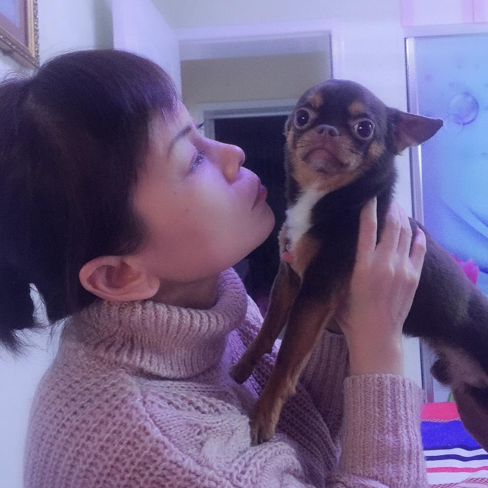 家有豆宝宝🐶