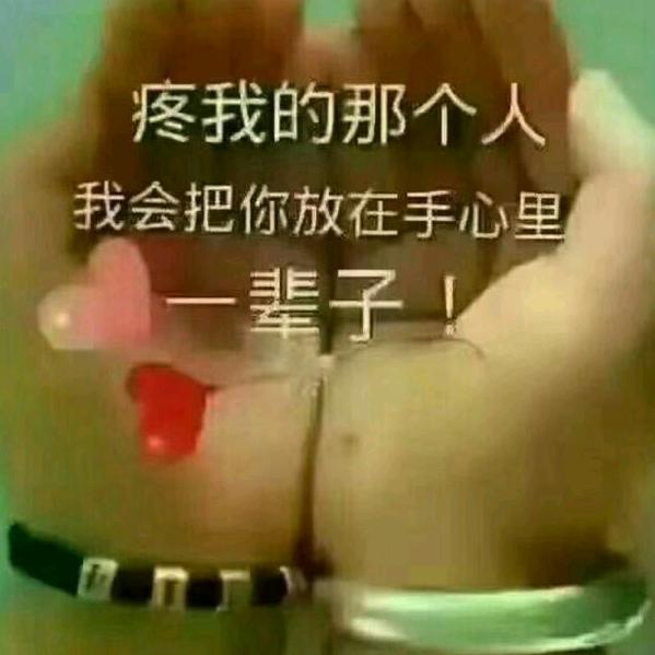 🍂🌹🍒随风漂泊🍂🌹🍒