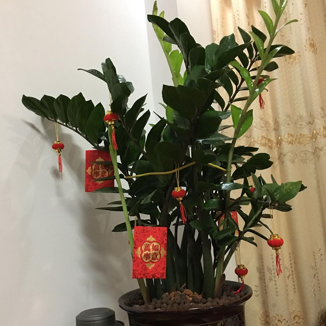 乐哈哈