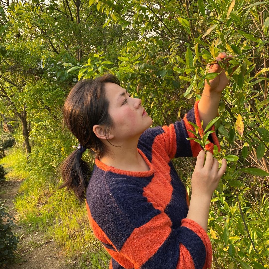 大别山小芳