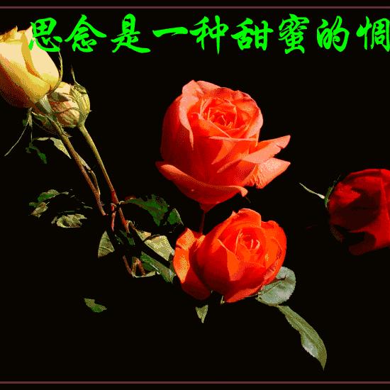 爱你一生，幸福路上有你